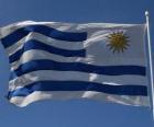 Uruguay bayrağı